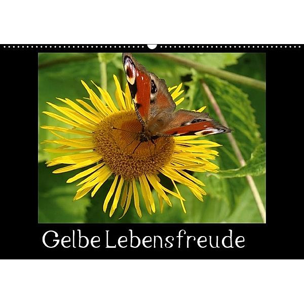 Gelbe Lebensfreude (Wandkalender 2017 DIN A2 quer), Sven Herkenrath