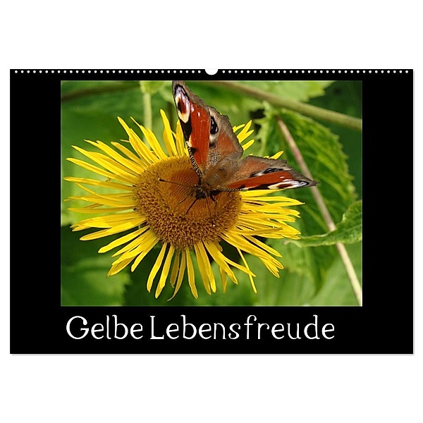 Gelbe Lebensfreude (Wandkalender 2024 DIN A2 quer), CALVENDO Monatskalender, Sven Herkenrath