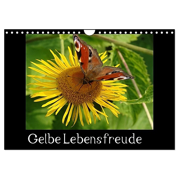Gelbe Lebensfreude (Wandkalender 2024 DIN A4 quer), CALVENDO Monatskalender, Sven Herkenrath