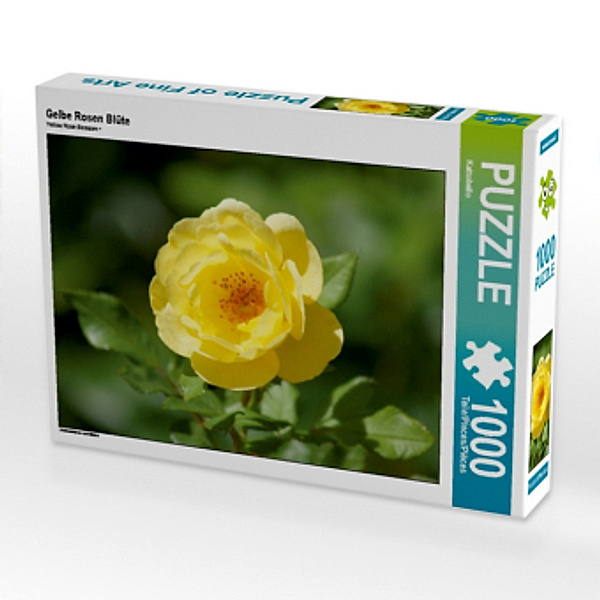 Gelbe Rosen Blüte (Puzzle), Kattobello