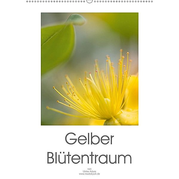 Gelber Blütentraum (Wandkalender 2020 DIN A2 hoch), Ulrike Adam