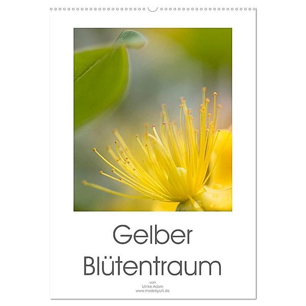 Gelber Blütentraum (Wandkalender 2024 DIN A2 hoch), CALVENDO Monatskalender, Ulrike Adam