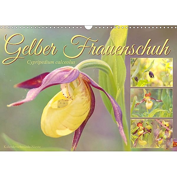 Gelber Frauenschuh (Wandkalender 2023 DIN A3 quer), Sabine Löwer
