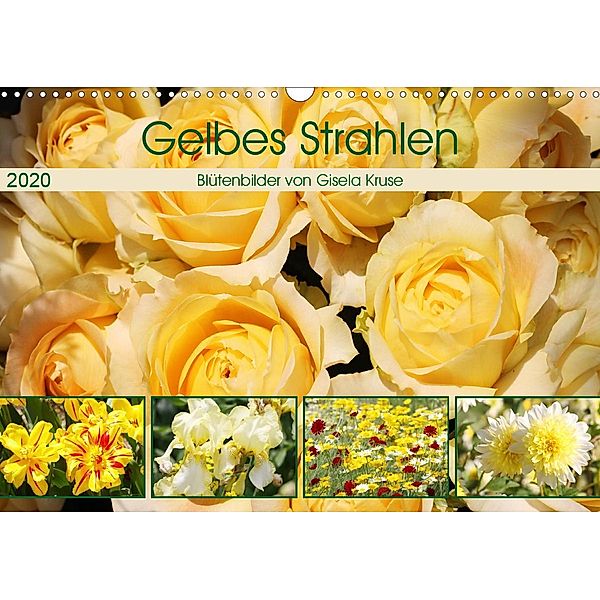 Gelbes Strahlen Blütenbilder (Wandkalender 2020 DIN A3 quer), Gisela Kruse