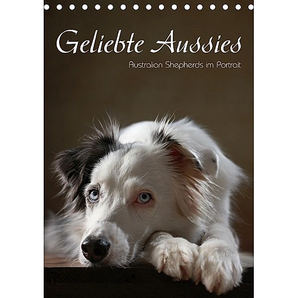 Geliebte Aussies - Australian Shepherds im Portrait (Tischkalender 2021 DIN A5 hoch), Jana Behr