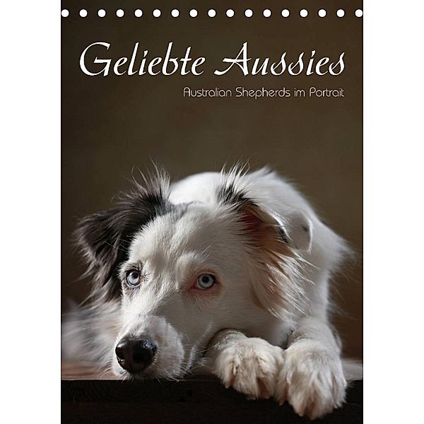 Geliebte Aussies - Australian Shepherds im Portrait (Tischkalender 2023 DIN A5 hoch), Jana Behr