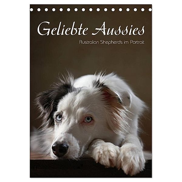 Geliebte Aussies - Australian Shepherds im Portrait (Tischkalender 2024 DIN A5 hoch), CALVENDO Monatskalender, Jana Behr