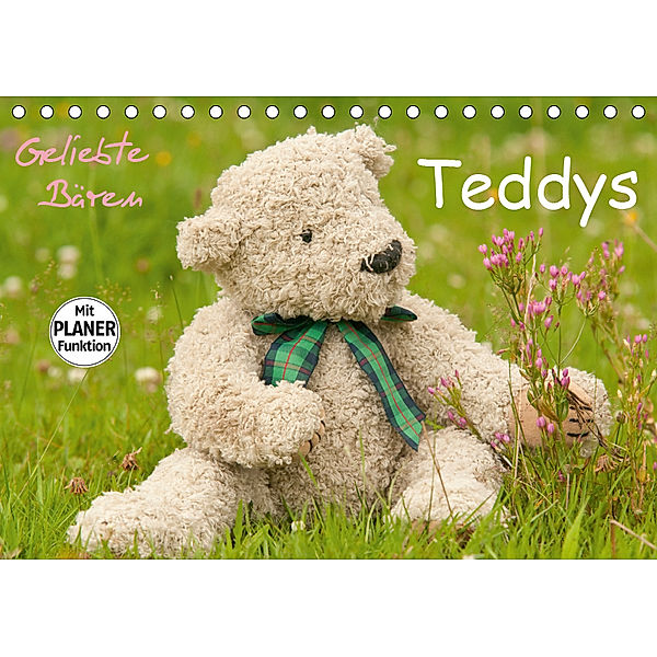 Geliebte Bären - Teddys (Tischkalender 2019 DIN A5 quer), Meike Bölts