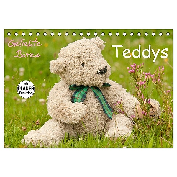 Geliebte Bären - Teddys (Tischkalender 2024 DIN A5 quer), CALVENDO Monatskalender, Meike Bölts