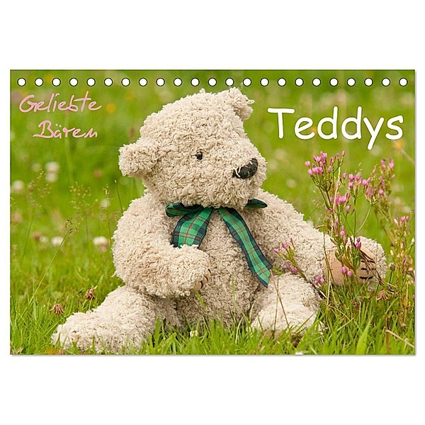 Geliebte Bären - Teddys (Tischkalender 2024 DIN A5 quer), CALVENDO Monatskalender, Meike Bölts