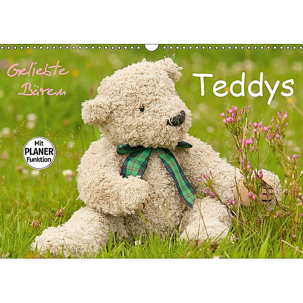 Geliebte Bären - Teddys (Wandkalender 2019 DIN A3 quer), Meike Bölts