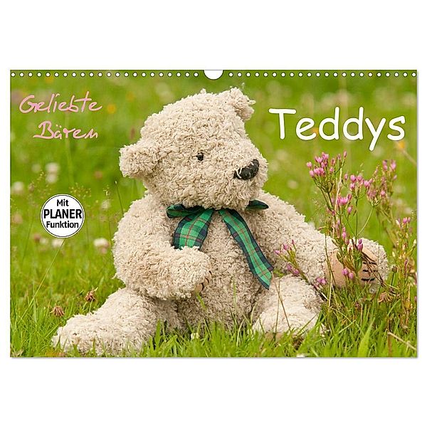 Geliebte Bären - Teddys (Wandkalender 2025 DIN A3 quer), CALVENDO Monatskalender, Calvendo, Meike Bölts