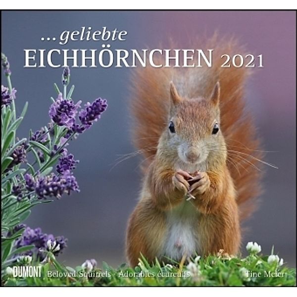 ... geliebte Eichhörnchen 2021