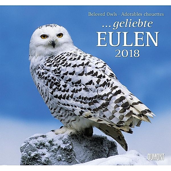 ... geliebte Eulen 2018