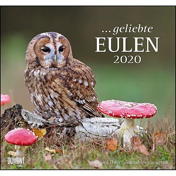 ... geliebte Eulen 2020