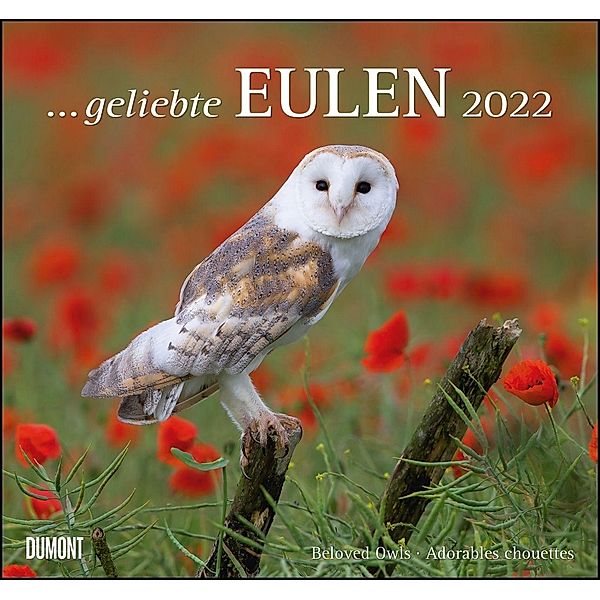 ... geliebte Eulen 2022