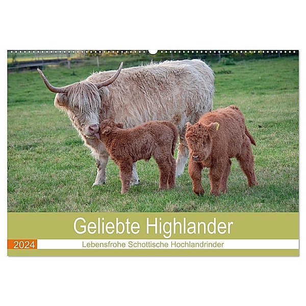 Geliebte Highlander (Wandkalender 2024 DIN A2 quer), CALVENDO Monatskalender, Marion Sixt