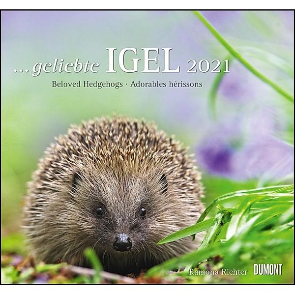 ... geliebte Igel 2021