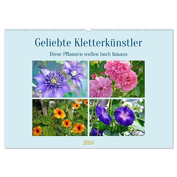 Geliebte Kletterkünstler (Wandkalender 2024 DIN A2 quer), CALVENDO Monatskalender, Christine B-B Müller