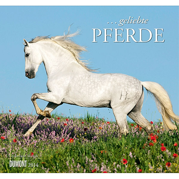 . . . geliebte Pferde 2014