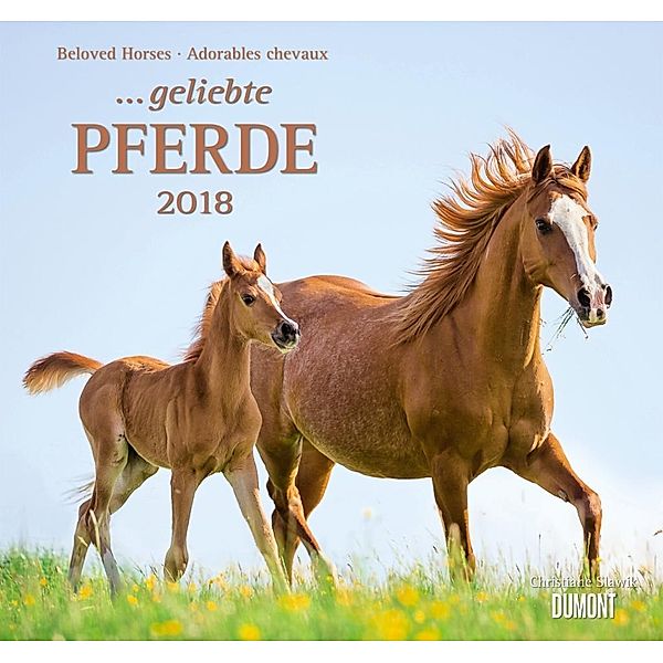 ... geliebte Pferde 2018