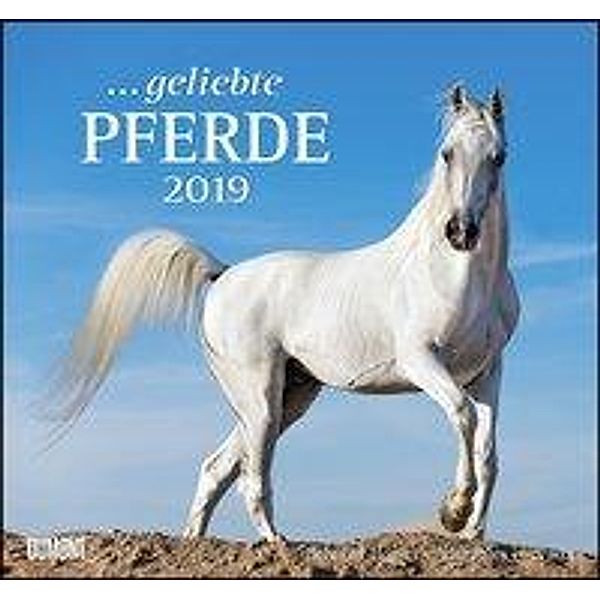 Geliebte Pferde 2019