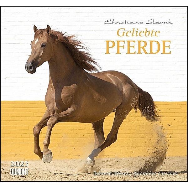 Geliebte Pferde 2023 - DUMONT-Wandkalender - Pferdefotografie von Christiane Slawik Format - 38,0 x 35,5 cm