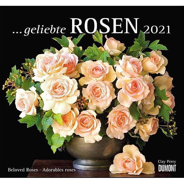 ... geliebte Rosen 2021