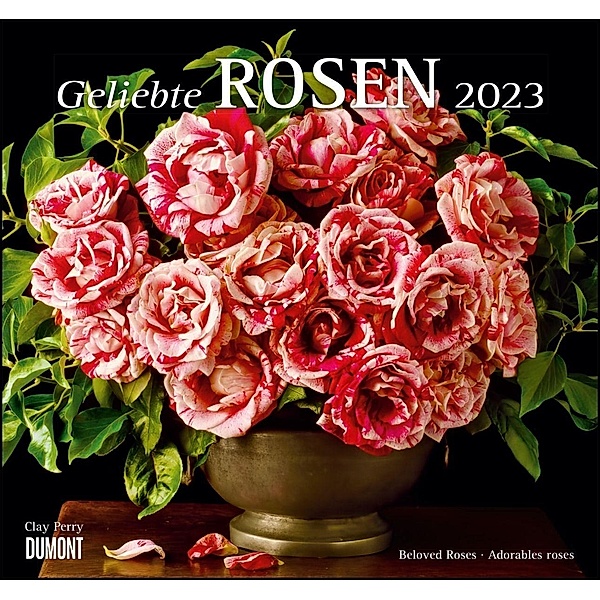 Geliebte Rosen 2023 - DUMONT Wandkalender - mit allen wichtigen Feiertagen - Format 38,0 x 35,5 cm
