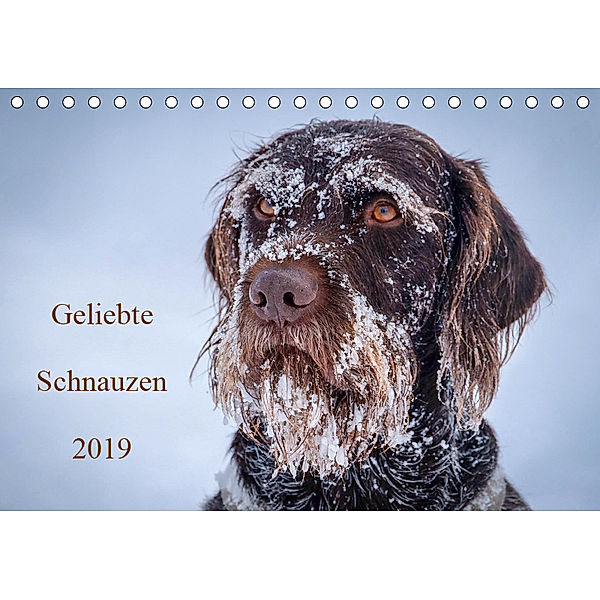 Geliebte Schnauzen 2019 (Tischkalender 2019 DIN A5 quer)