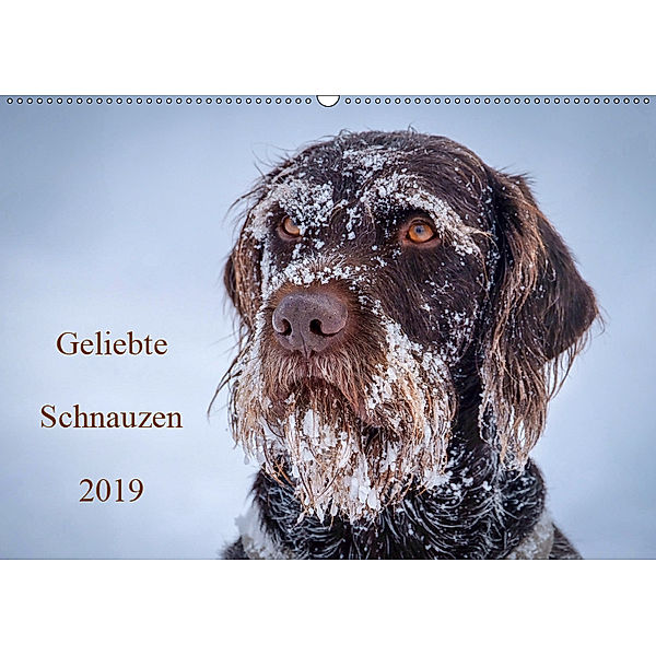 Geliebte Schnauzen 2019 (Wandkalender 2019 DIN A2 quer)