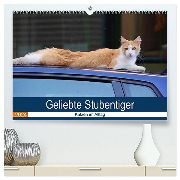 Geliebte Stubentiger - Katzen im Alltag (hochwertiger Premium Wandkalender 2024 DIN A2 quer), Kunstdruck in Hochglanz, Thomas Bartruff