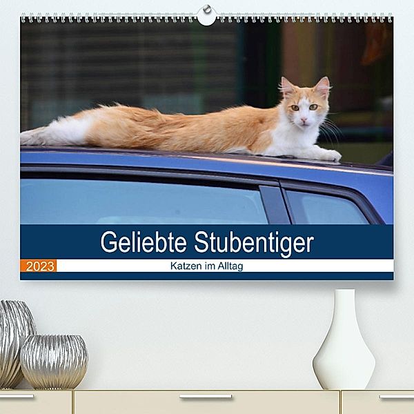 Geliebte Stubentiger - Katzen im Alltag (Premium, hochwertiger DIN A2 Wandkalender 2023, Kunstdruck in Hochglanz), Thomas Bartruff