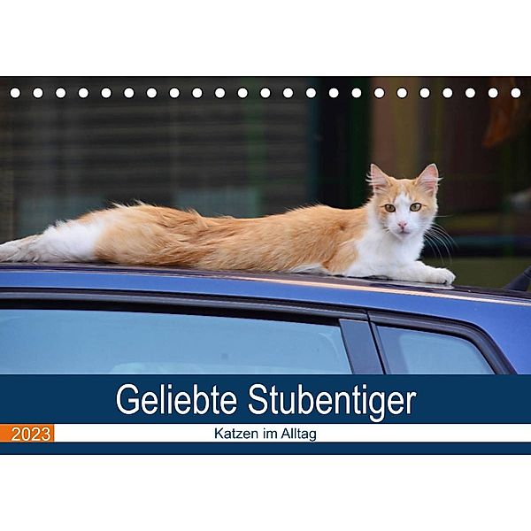 Geliebte Stubentiger - Katzen im Alltag (Tischkalender 2023 DIN A5 quer), Thomas Bartruff