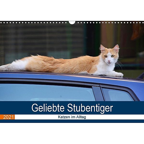 Geliebte Stubentiger - Katzen im Alltag (Wandkalender 2021 DIN A3 quer), Thomas Bartruff