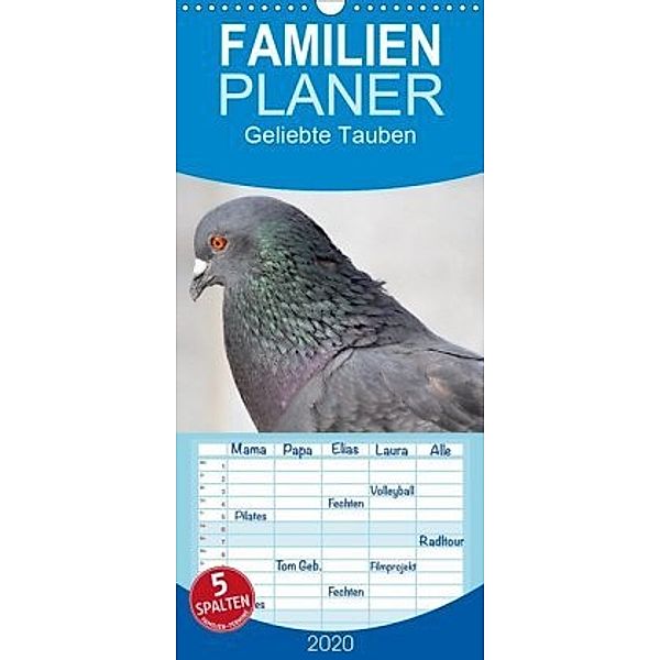 Geliebte Tauben - Familienplaner hoch (Wandkalender 2020 , 21 cm x 45 cm, hoch), Ramona Meißner