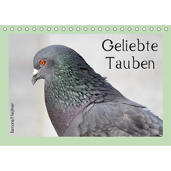 Geliebte Tauben (Tischkalender 2019 DIN A5 quer), Ramona Meißner