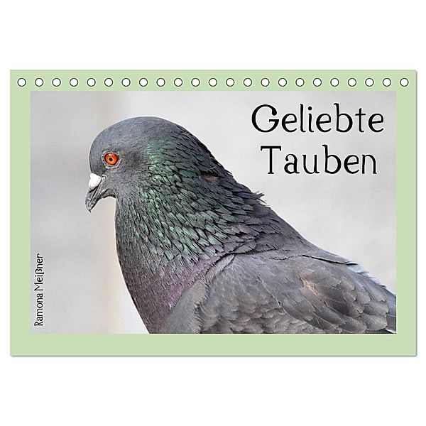 Geliebte Tauben (Tischkalender 2024 DIN A5 quer), CALVENDO Monatskalender, Ramona Meißner