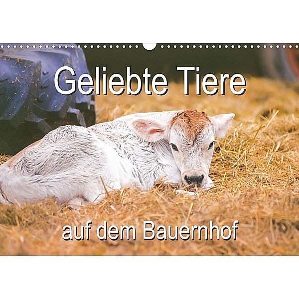 Geliebte Tiere auf dem Bauernhof (Wandkalender 2023 DIN A3 quer), Carola Vahldiek