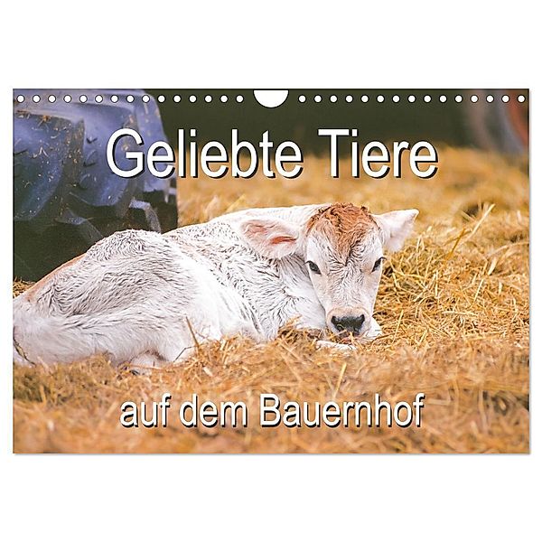 Geliebte Tiere auf dem Bauernhof (Wandkalender 2025 DIN A4 quer), CALVENDO Monatskalender, Calvendo, Carola Vahldiek