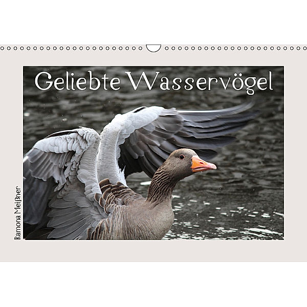 Geliebte Wasservögel (Wandkalender 2019 DIN A3 quer), Ramona Meißner