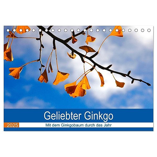 Geliebter Ginkgo (Tischkalender 2025 DIN A5 quer), CALVENDO Monatskalender, Calvendo, Anette Jäger
