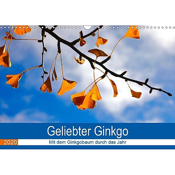 Geliebter Ginkgo (Wandkalender 2020 DIN A3 quer), Anette Jäger