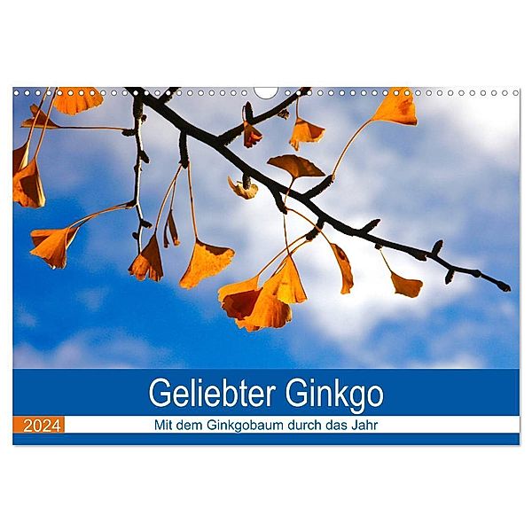 Geliebter Ginkgo (Wandkalender 2024 DIN A3 quer), CALVENDO Monatskalender, Anette Jäger