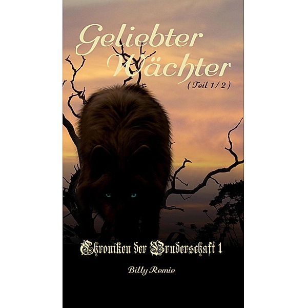 Geliebter Wächter / Chroniken der Bruderschaft 1 Bd.1, Billy Remie