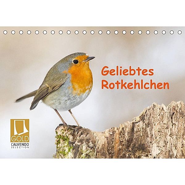 Geliebtes Rotkehlchen (Tischkalender 2023 DIN A5 quer), Wilfried Martin (GDT)