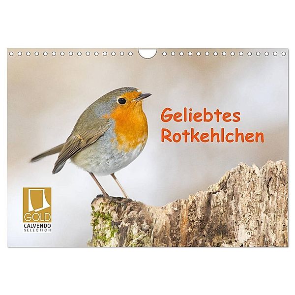 Geliebtes Rotkehlchen (Wandkalender 2024 DIN A4 quer), CALVENDO Monatskalender, Wilfried Martin (GDT)