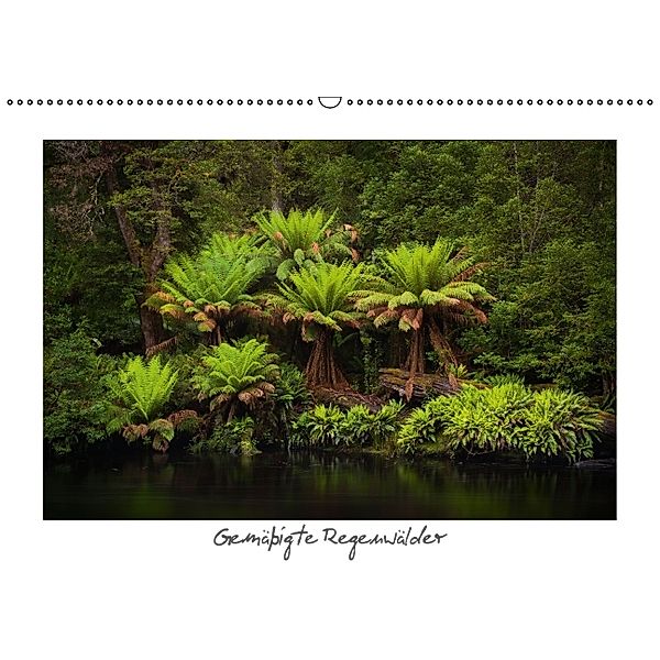 Gemäßigte Regenwälder (Wandkalender 2014 DIN A3 quer), Boris Buschardt