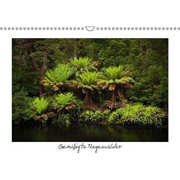 Gemäßigte Regenwälder (Wandkalender 2015 DIN A3 quer), Boris Buschardt