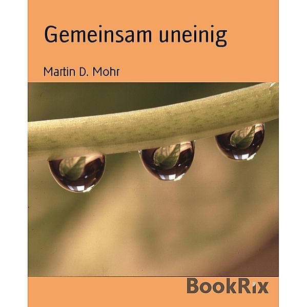 Gemeinsam uneinig, Martin D. Mohr